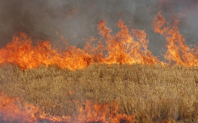 Свежие новости: На Николаевщине сгорел урожай пшеницы из-за неосторожности