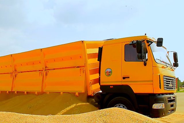 Свежие новости: Суд отправил в СИЗО жителя Еланца, который выманил у фермеров зерно на миллион гривен