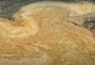 Свежие новости: В центре Николаева вода в реке Ингул покрылась желто-коричневой пленкой