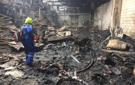 Свежие новости: Под Киевом горело предприятие, есть жертвы