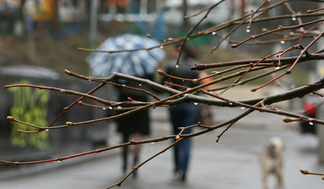 Свежие новости: Синоптики дали прогноз погоды на начало недели