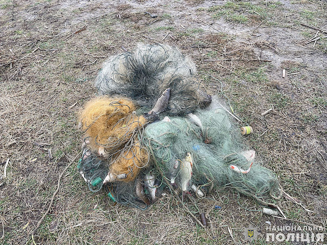 Свежие новости: На Миколаївщині поліцейські затримали браконьєрів, які «наловили» риби на 190 тисяч гривень збитків
