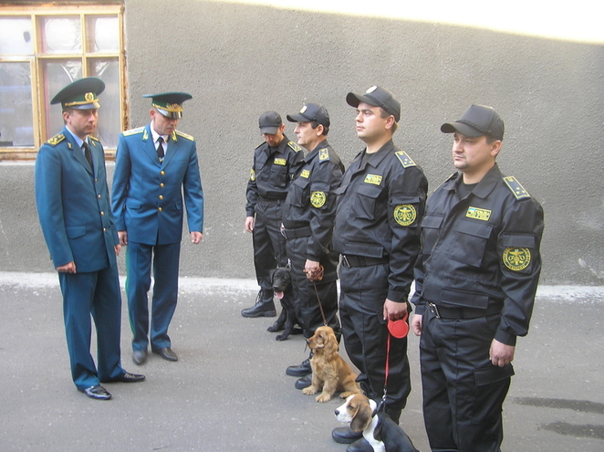 Свежие новости: Украинская таможня начнет работать в системе «единого окна»