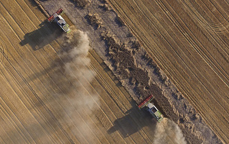 Свежие новости: Большинство украинцев против открытия рынка земли - опрос