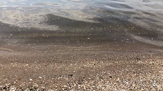 Свежие новости: Підтоплення Кінбурну не заважає росіянам обстрілювати Очаків, — ОК «Південь»