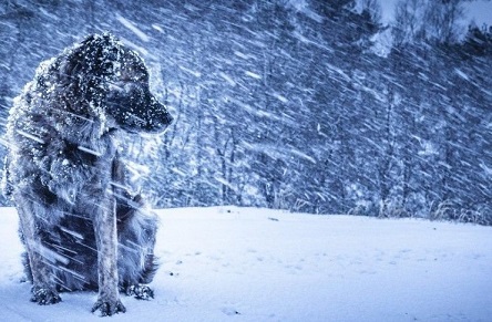 Свежие новости: В Николаевской области объявлено штормовое предупреждение: просьба без надобности не выезжать из дому