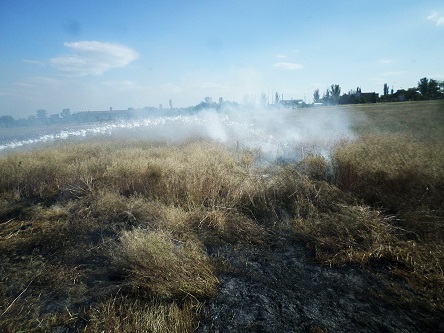 Свежие новости: Из-за пожара на Снигиревской трассе произошло ДТП