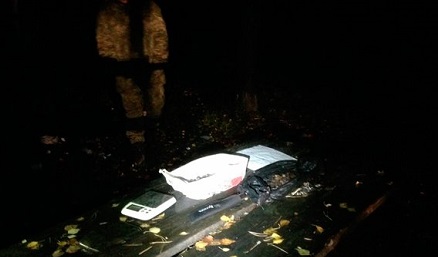 Свежие новости: На Николаевщине задержаны скупщики янтаря