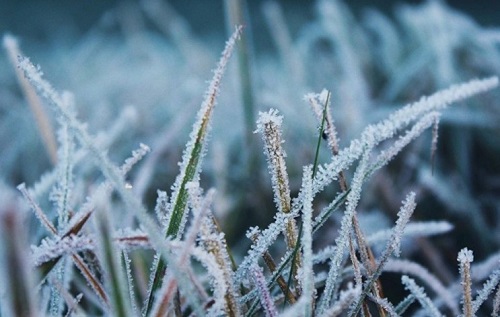Свежие новости: На Николаевщине ожидают сильный гололед
