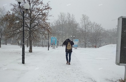 Свежие новости: Снегопад на Николаевщине: из-за непогоды отменяют автобусные рейсы