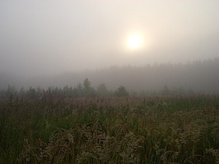 Свежие новости: Синоптики рассказали, когда начнутся первые заморозки