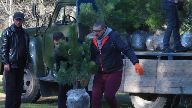 Свежие новости: В Николаеве прошла эко-акция – высадили около 1000 деревьев