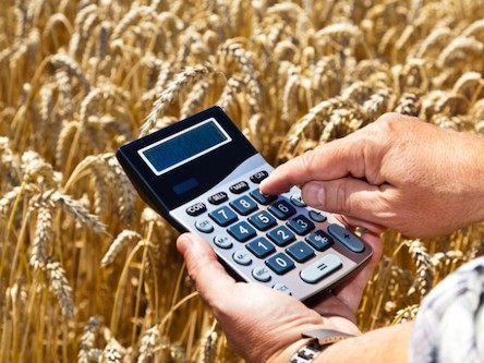 Свежие новости: Названо програми підтримки агропромислового комплексу на 2021 рік