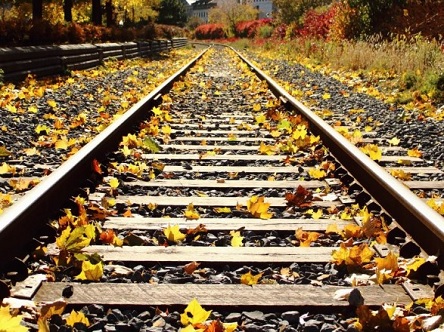 Свежие новости: На Львівщині поїзд насмерть збив людину