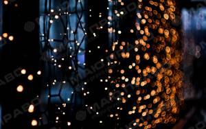 Свежие новости: Австралиец устроил свое Рождество. С гирляндами и AC/DC (Видео)