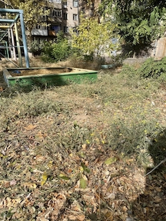 Свежие новости: У Миколаєві дитячий майданчик заріс метровою амброзією