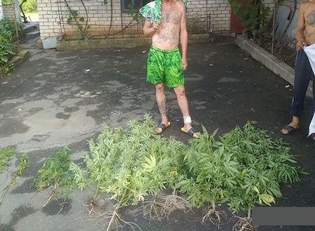 Свежие новости: У жителя Вознесенска правоохранители обнаружили кусты конопли и каннабис