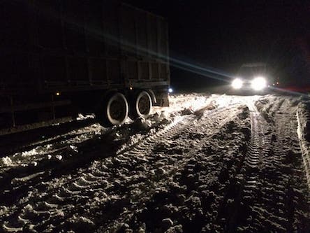 Свежие новости: На Николаевщине дальнобойщик обманул спасателей, чтобы выбраться из пробки