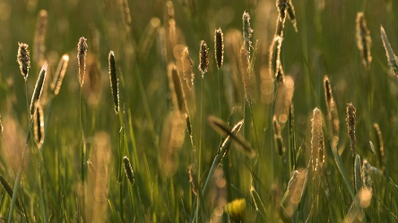 Свежие новости: В четверг в Украине будет сухо и солнечно, дожди пройдут только в западных областях