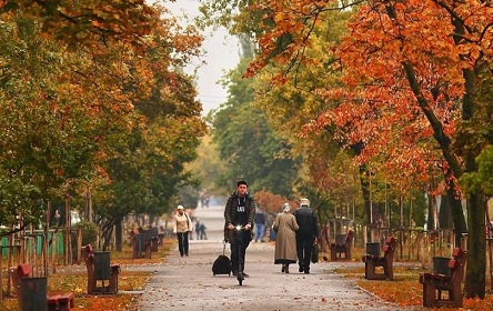 Фото новости: Синоптик рассказала о погоде на начало недели Свежие новости: Синоптик рассказала о погоде на начало недели