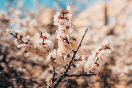 Свежие новости: Стало известно, сколько дней в Украине продержится 20-градусное тепло