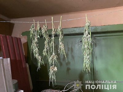 Свежие новости: У жителя Вознесенска изъяли пистолет и каннабис на полмиллиона гривен