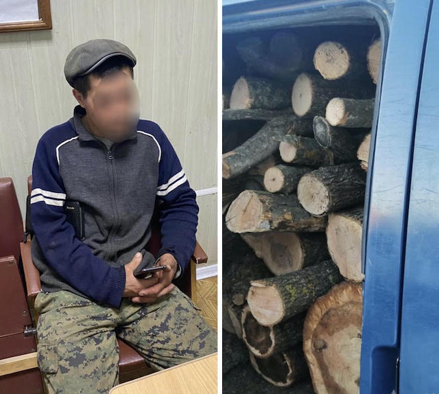 Свежие новости: Полиция задержала одного из преступников, уничтожавших посадки в Вознесенском районе