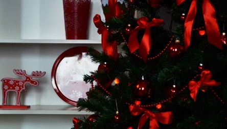 Свежие новости: Погода в Николаеве в предновогодние дни