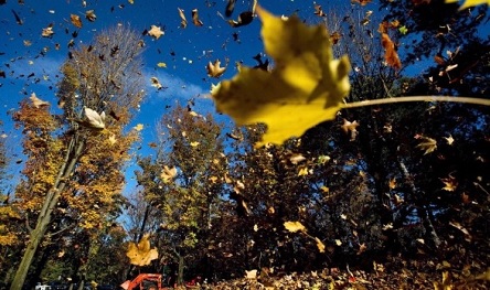 Фото новости: Синоптики розповіли, якої погоди очікувати завтра Свежие новости: Синоптики розповіли, якої погоди очікувати завтра
