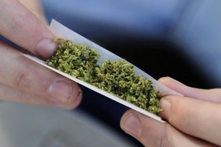 Свежие новости: За хранение 1 кг каннабиса жителям Николаевщины грозит 3 года тюрьмы