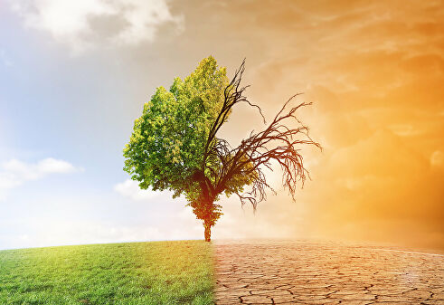 Свежие новости: Глобальное потепление в Украине быстрее, чем во всем мире