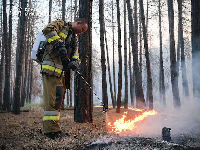 Фото новости: У Миколаївській області локалізували пожежу в Андріївському лісовому урочищі Свежие новости: У Миколаївській області локалізували пожежу в Андріївському лісовому урочищі