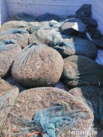 Свежие новости: В заповеднике на Николаевщине злоумышленники выловили около 170 000 креветок