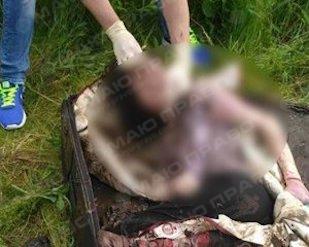 Свежие новости: Відео: З'вилися нові жахливі подробиці вбивства студентки на Прикарпатті