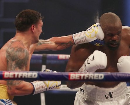 Свежие новости: Лев победил Слона! Усик перехитрил мощного Чисору. На очереди – Джошуа!