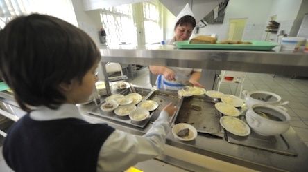 Свежие новости: Плесневые грибы и кишечная палочка: чем кормят детей в школах Николаевской области