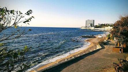 Свежие новости: На пляжах Одессы не рекомендуют купаться из-за угрозы инфекций