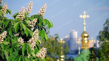 Свежие новости: Синоптики розповіли, коли в Україну прийде справжня весна