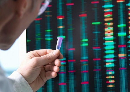 Свежие новости: МВС назвало кількість ДНК-профілів неідентифікованих загиблих із зони ООС