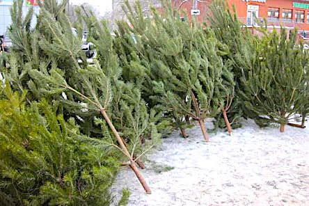 Свежие новости: 