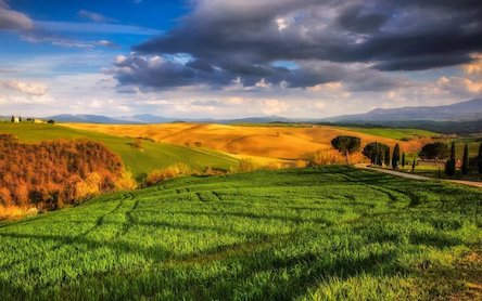 Свежие новости: Загадочные смерти фермеров: дочь погибшего не видит сдвигов даже после встречи с Зеленским