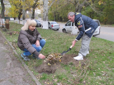 Свежие новости: Николаевцы высадили клены на недавно созданной «Аллее автомобилистов»