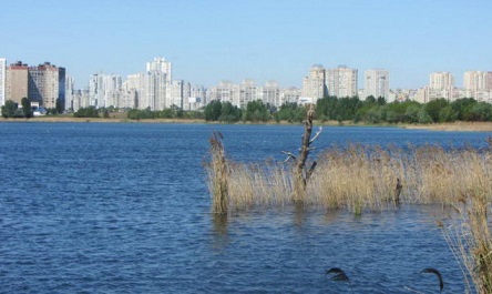 Свежие новости: В Киеве жестоко убили 9-летнего ребенка: убийцей оказался старший брат