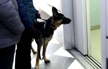 Свежие новости: ФОТО: В Николаеве мужчина избил соседа за замечание по поводу собаки