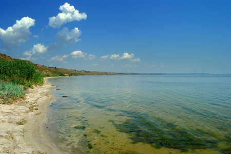 Свежие новости: В Очаковском районе на берегу лимана найден труп мужчины
