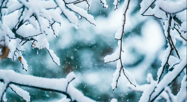 Свежие новости: В Україну ще повернеться сніг з дощем