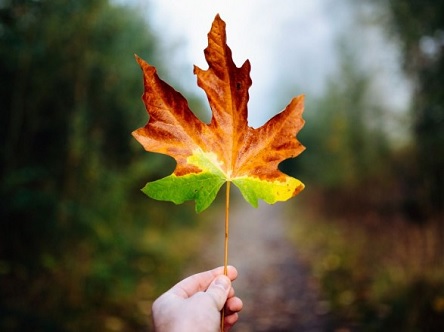 Свежие новости: Цього тижня в Україні потепліє до 23 градусів - синоптики