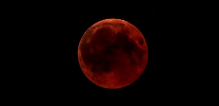 Свежие новости: Укридрометцентр сообщил, когда можно наблюдать лунное затмение