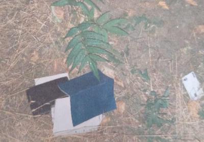 Свежие новости: Полиция задержала 21-летнего подозреваемого николаевца в ограблении