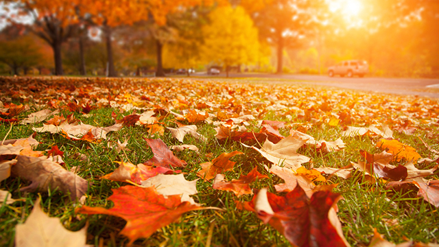 Свежие новости: Прогноз погоди на сьогодні